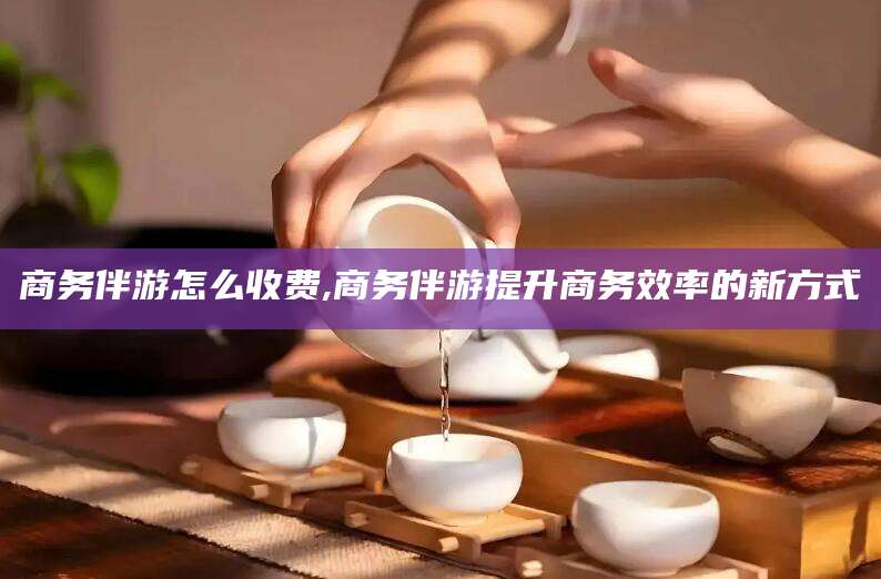 渑池商务伴游怎么收费,商务伴游提升商务效率的新方式